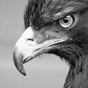 Meet your Posher, Stace